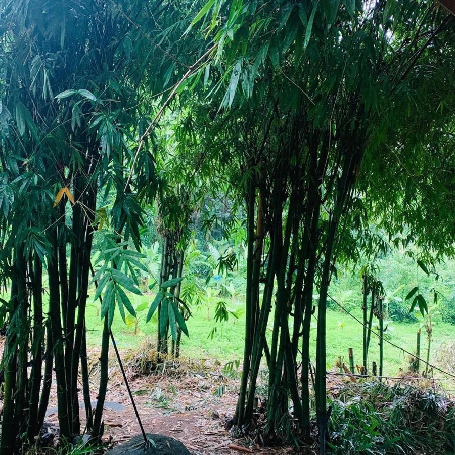 Отель สวนฉัน Igarden Ban Pang Champi Экстерьер фото